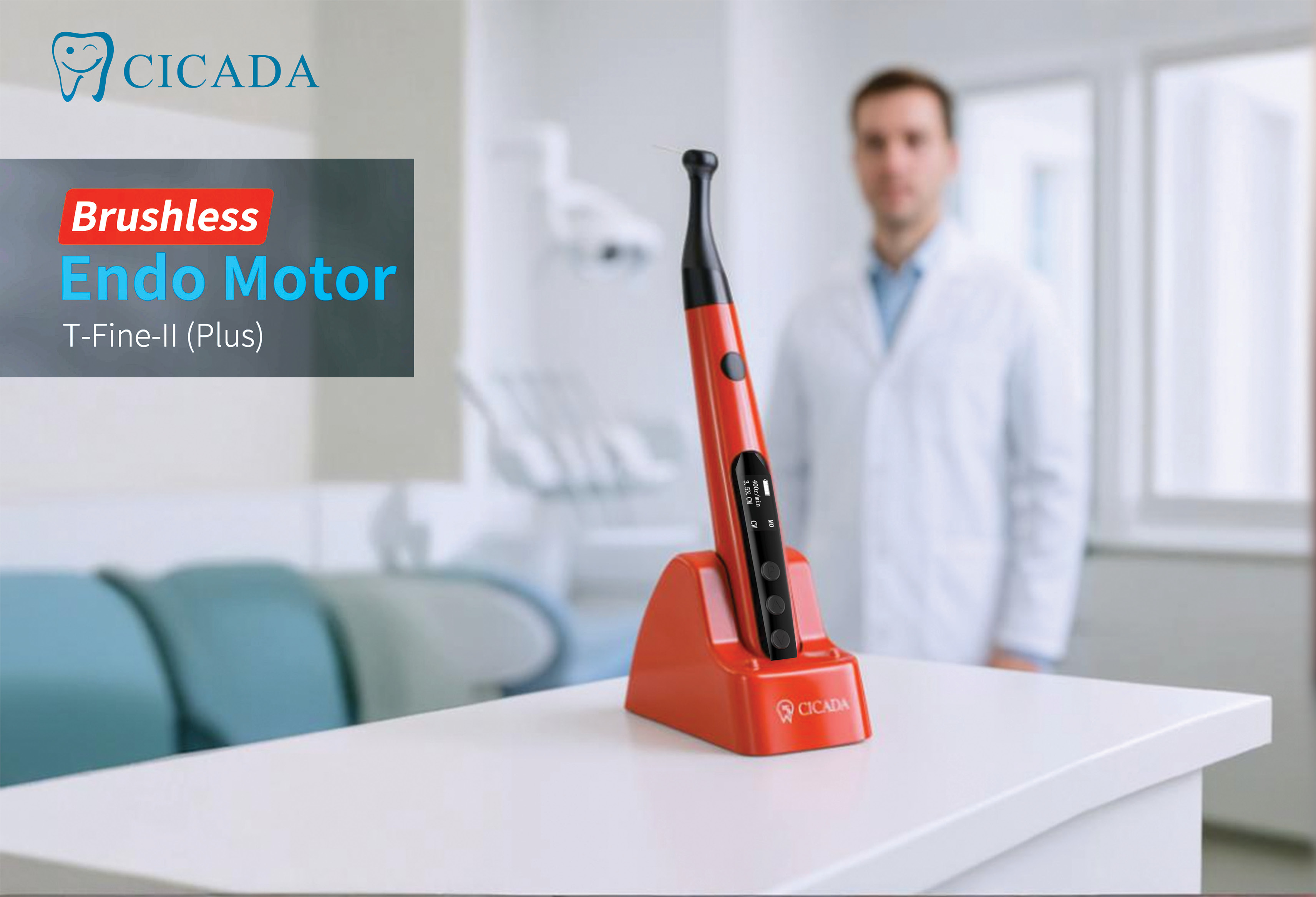 Water drops on leaves